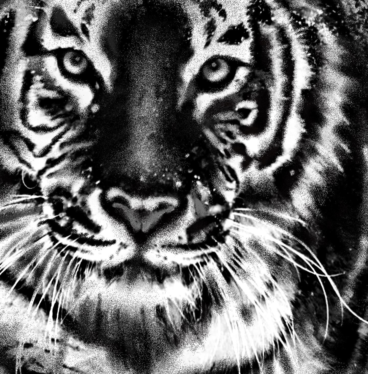 12cf8522 55cb 437d b776 87b75a1a3bcf